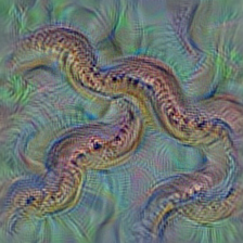 n01744401 rock python, rock snake, Python sebae